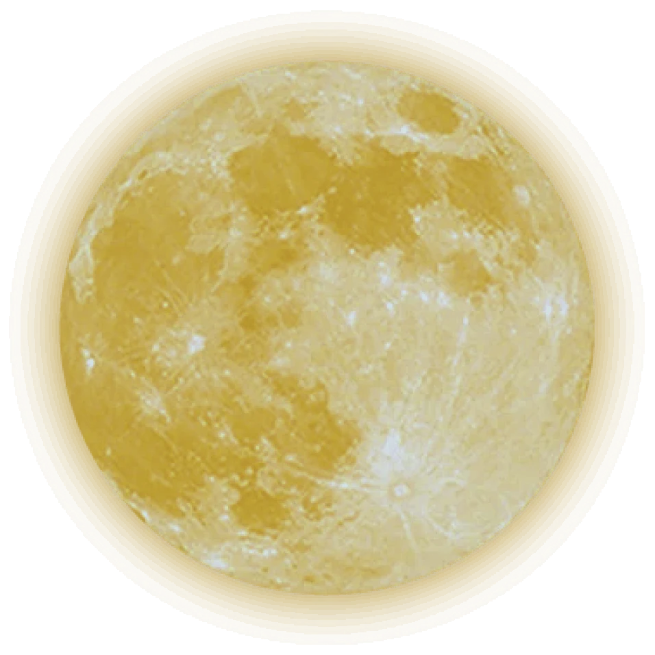 image 31334546