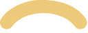Vector